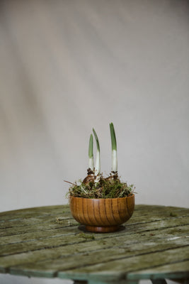 Wooden Footed Bowl