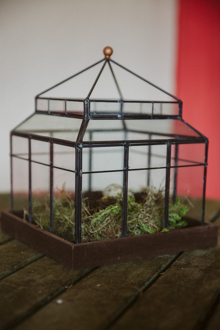 Glass Observatory Lantern/ Display