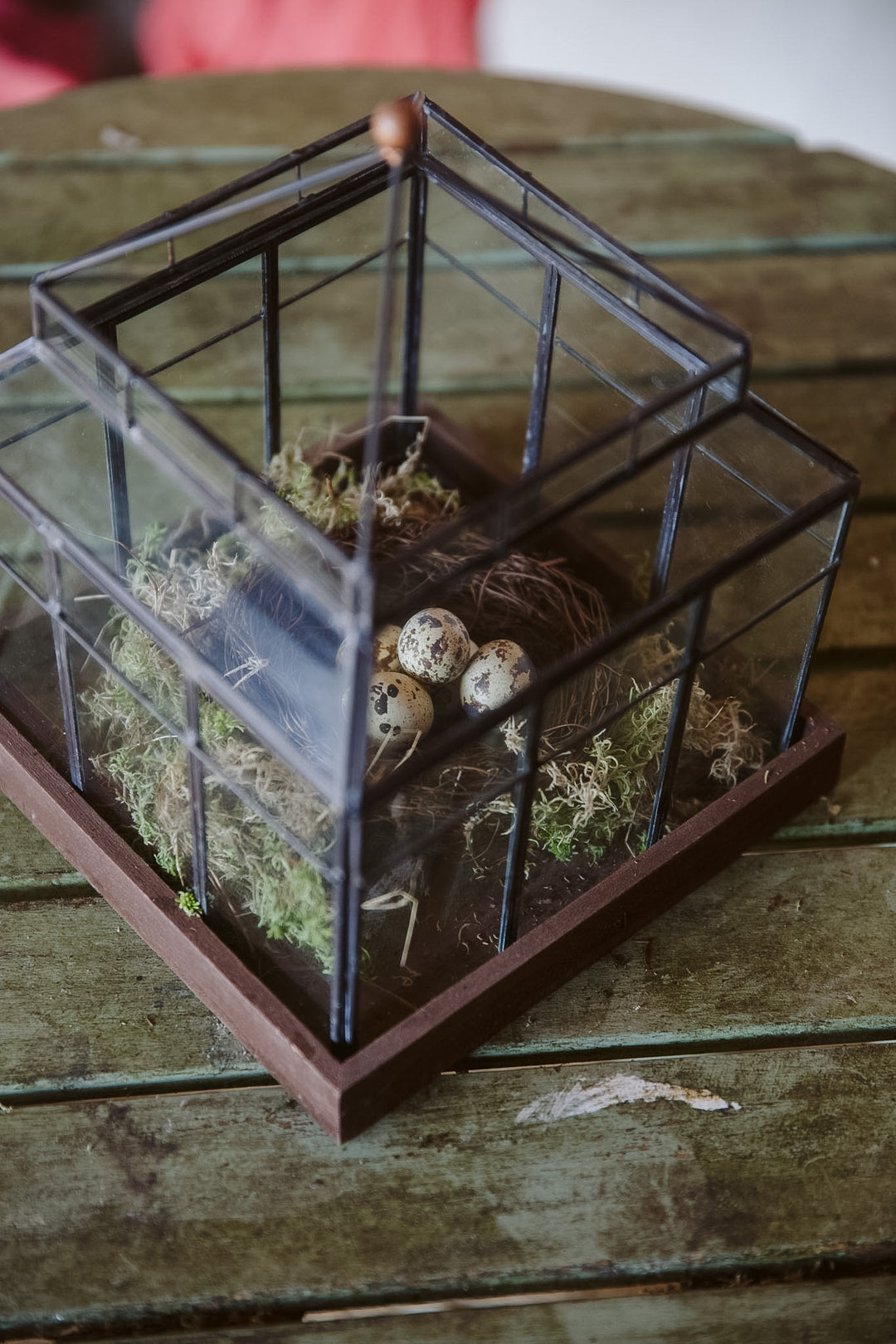 Glass Observatory Lantern/ Display