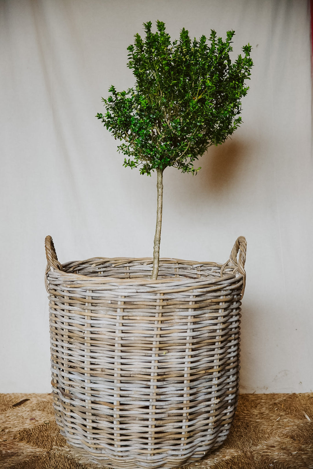 Large Round Base Wicker Basket