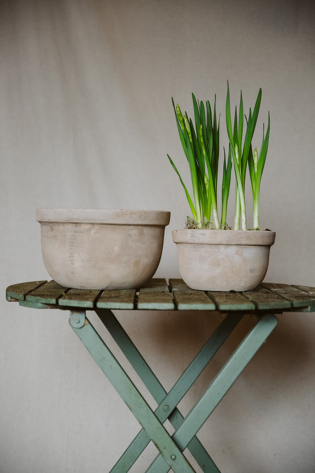 Small Round Terracotta Pots