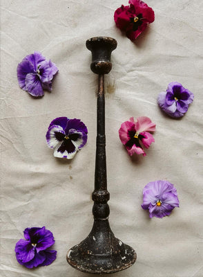 Candlestick Daphne Small