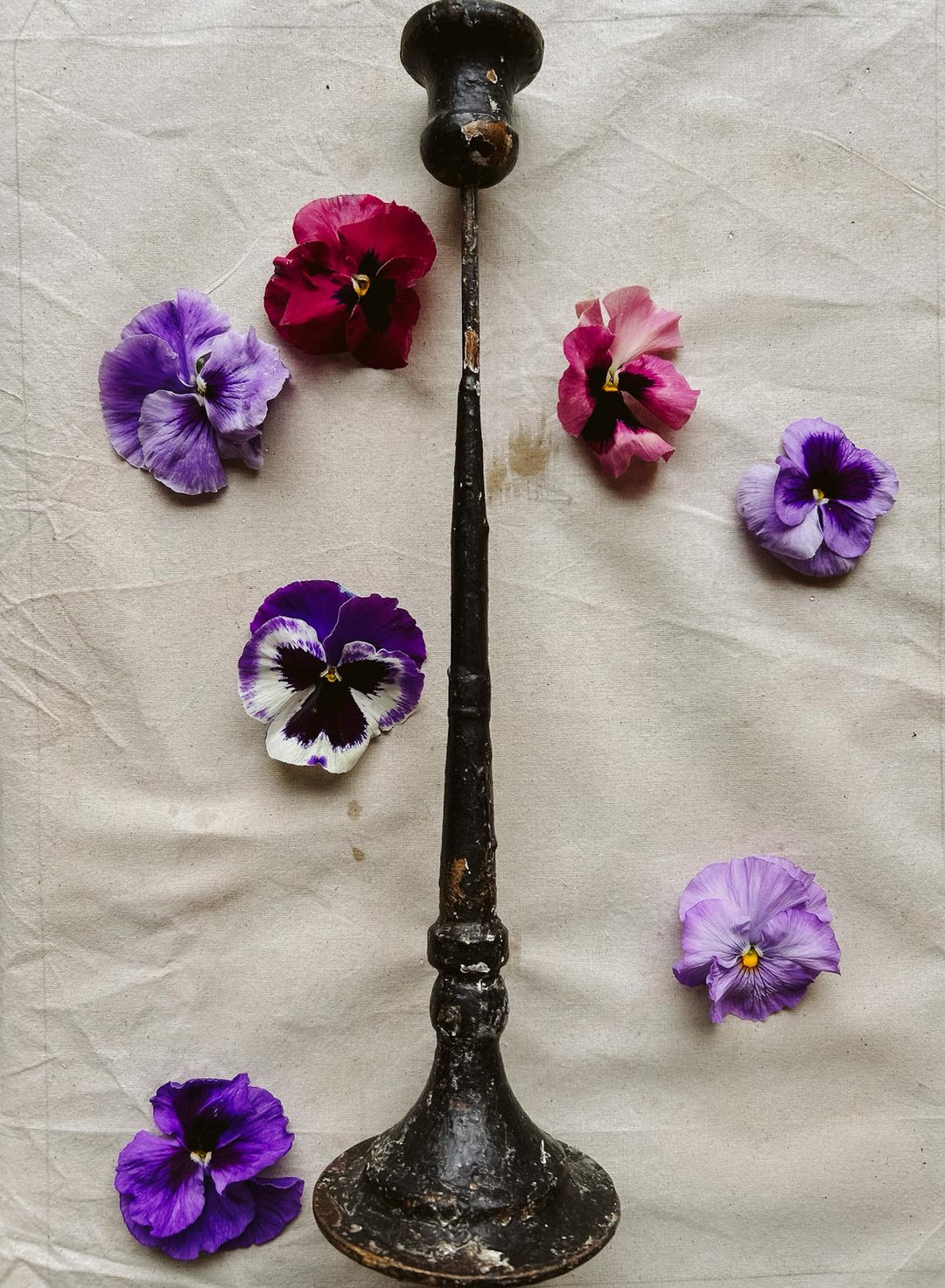 Candlestick Daphne Tall