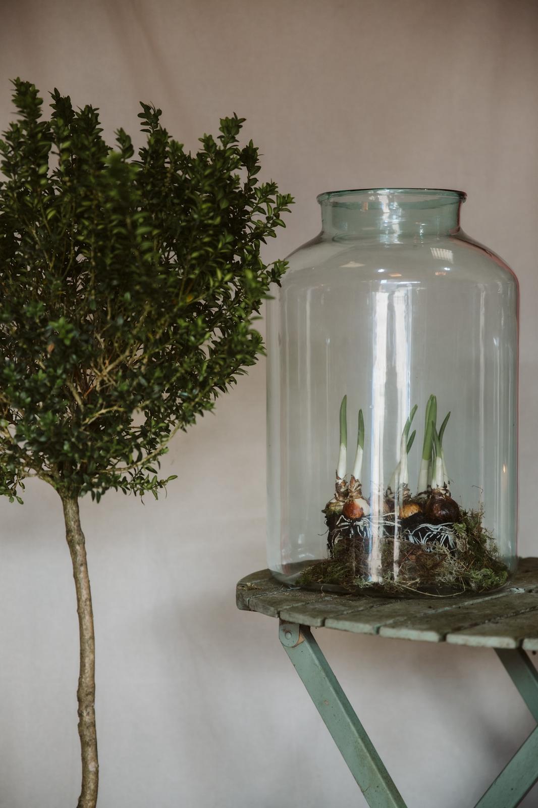 Various Height Pickling Vase